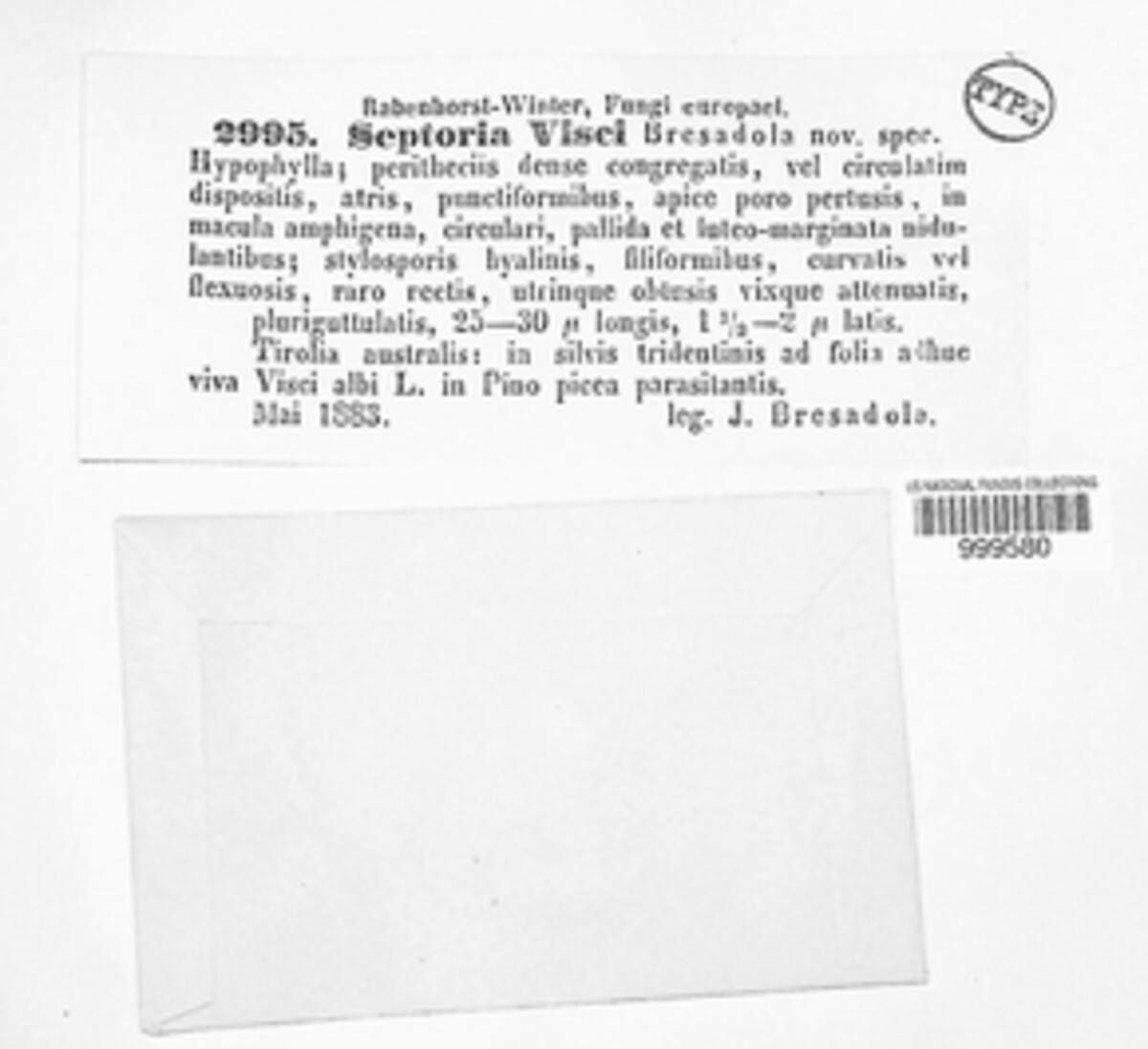 Rhabdospora visci image